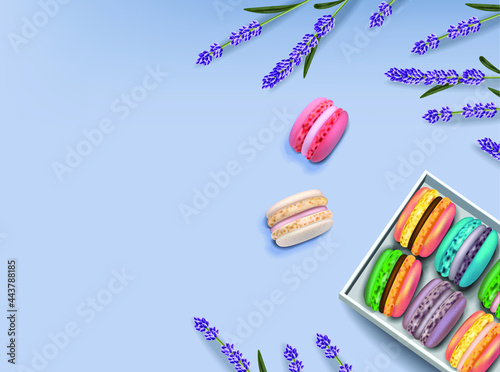 Macaroons set and lavender Vector realistic. 3d detailed illustrations