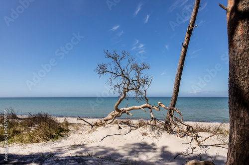 Baltic Sea Day At The Beach