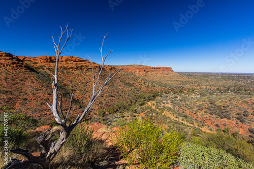 オーストラリア　ノーザンテリトリーにあるワタルカ国立公園内のキングス・キャニオンの風景
