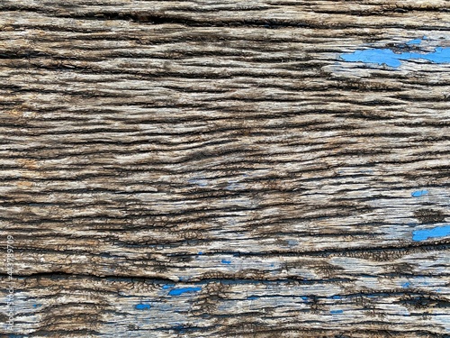 texture of a old wooden planks background