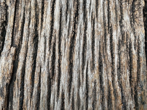 texture of a old wooden planks background