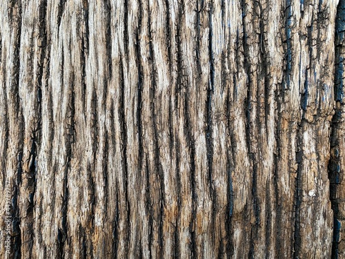 texture of a old wooden planks background