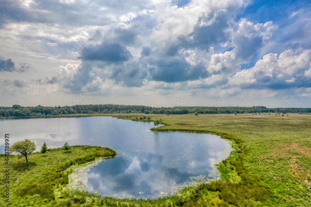 Aerial view of a grass field with reeds. A lake in the forest. Photo made by a drone from above in the Dutch nature landscape. Impressive sky