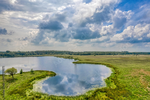 Aerial view of a grass field with reeds. A lake in the forest. Photo made by a drone from above in the Dutch nature landscape. Impressive sky