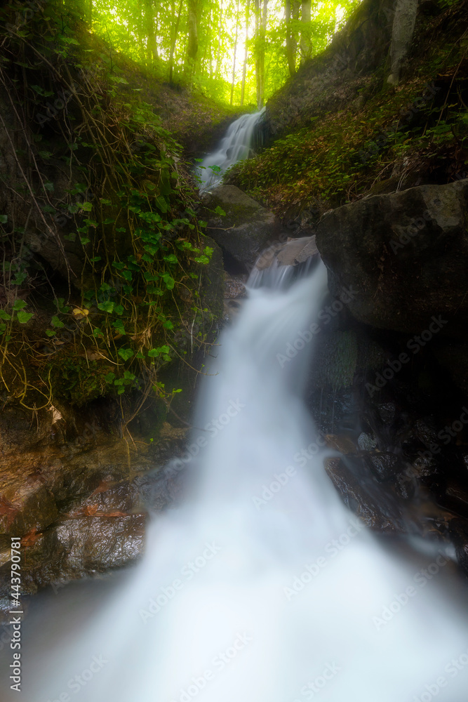 Waterfall deep in the forest. The beauty of green plants in summer time.