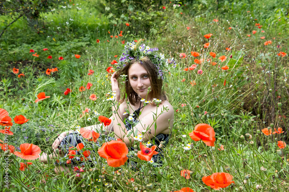 Girl in a wreath straightens hair on a flower meadow with red poppies, various herbs, flowers Girl in a wreath straightens hair on a flower meadow with red poppies, various herbs, flowers