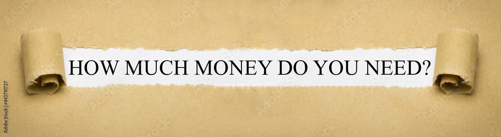 How much money do you need? - obrazy, fototapety, plakaty 