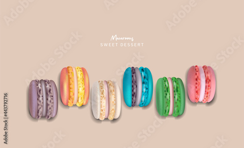Colorful macaroons set Vector realistic. 3d detailed illustrations