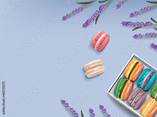 Macaroons set and lavender Vector realistic. 3d detailed illustrations