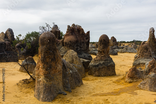 オーストラリア ナンバン国立公園のピナクルズの奇岩