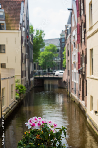 canal houses, bridges, and canals in Amsterdam