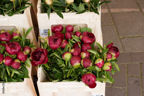 colorful flowers in the farmer's market 