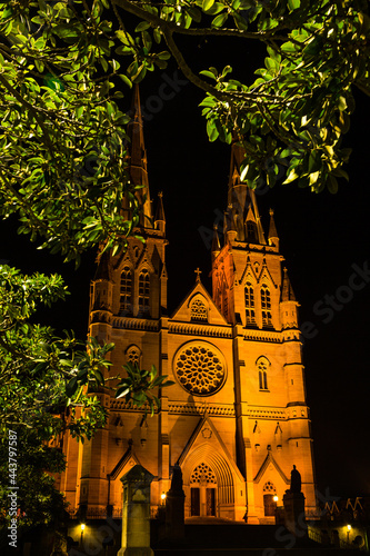 オーストラリア 夜になってライトアップされたシドニーのセント・メアリー大聖堂