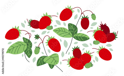 Fresh delicious ripe wild strawberries vector flat illustration isolated on white, natural diet food vegetation tasty eating, forest wild berries series.