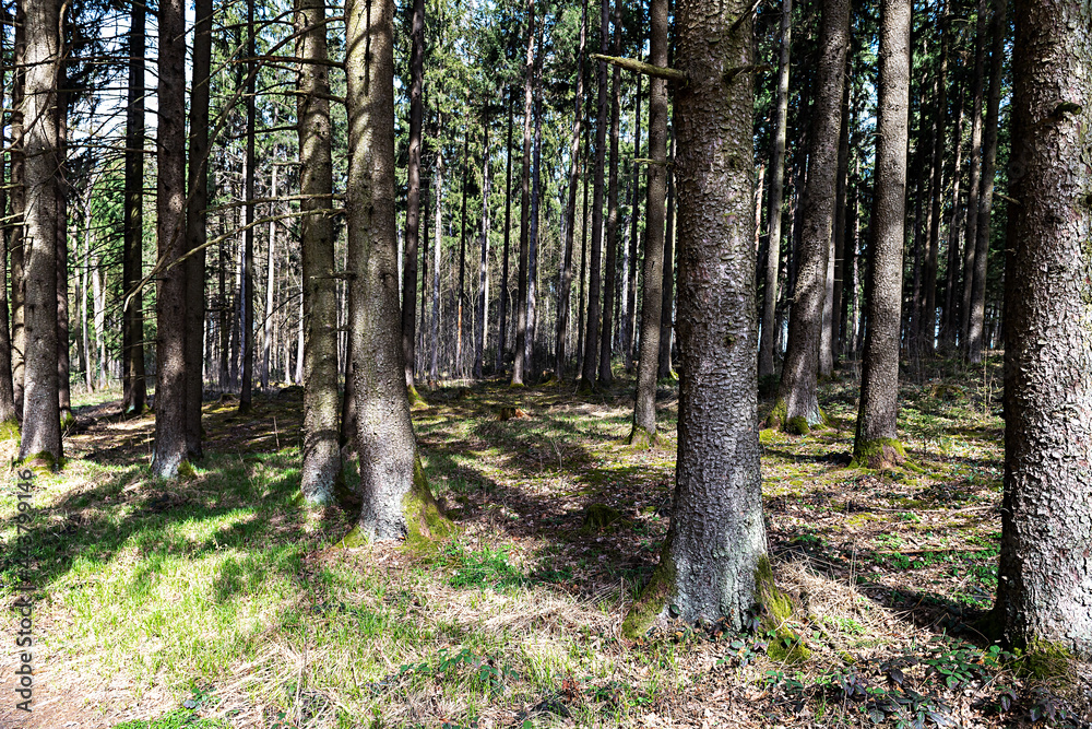 Obraz premium Mostviertel