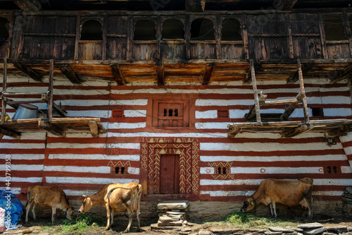 Manali, India - June 2021: Traditional houses in the Old Manali neighborhood on June 25, 2021 in Manali, Himachal Pradesh, India. photo