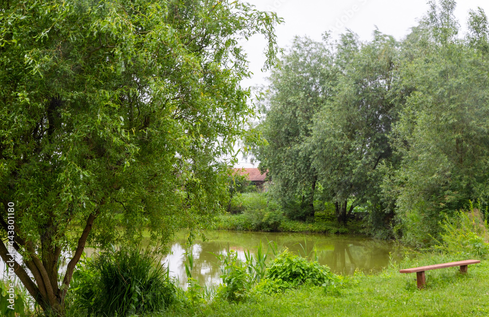 Lonely bench by the lake under a sloping willow. concept of loneliness. Lonely bench by the lake under a sloping willow. concept of loneliness.