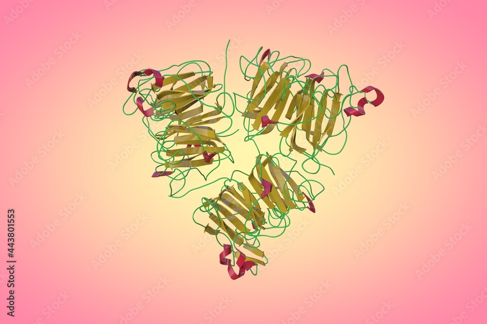 Crystal structure of the human chromosome condensation regulator, also