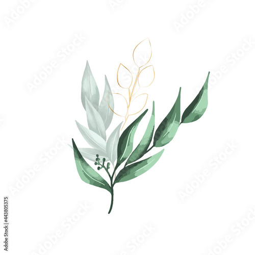 Set of botanic and wild leaves in watercolor painting.