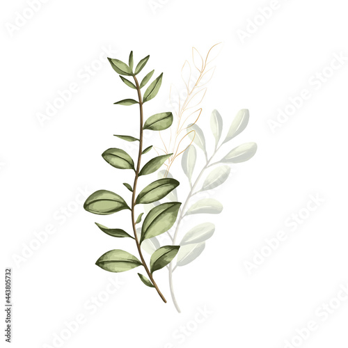 Set of botanic and wild leaves in watercolor painting.