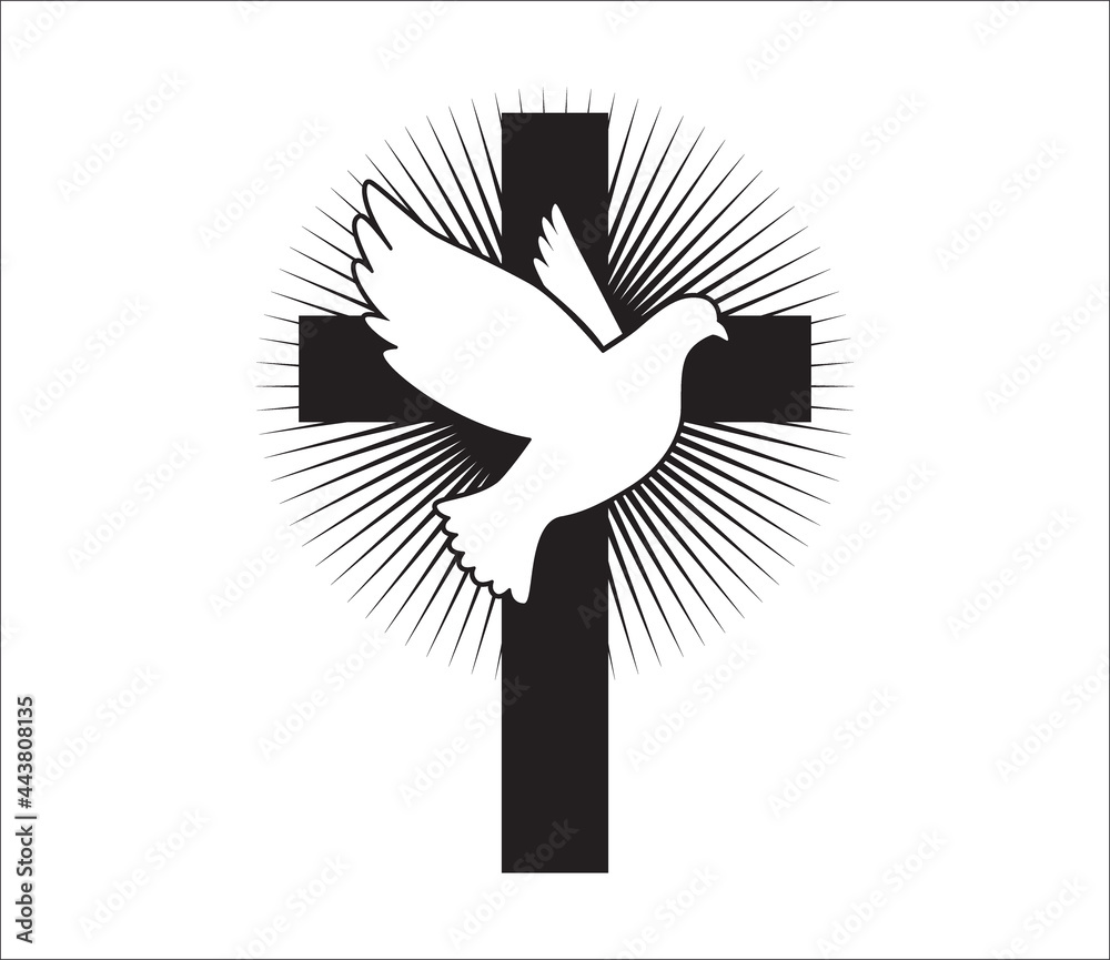 Clipart White Dove Sketch Holy Spirit Dove Drawi PNG Image With Transparent  Background | TOPpng