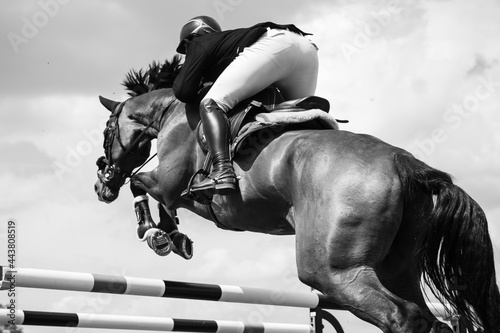 Black and white Equestrian Sports photo-themed: Horse jumping over the obstacle.