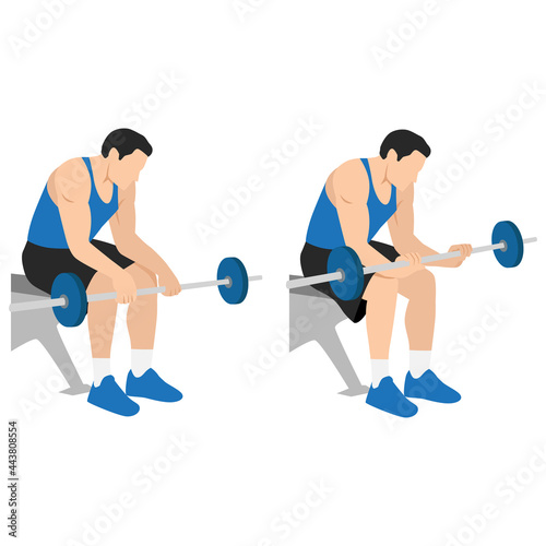 Man doing Seated palm down wrist curls exercise. Flat vector illustration isolated on white background