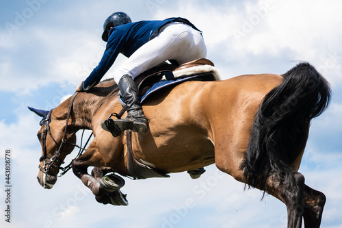 Equestrian Sports photo-themed: Horse jumping over the obstacle.