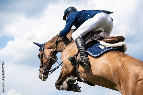 Fotograficzne sporty jeździeckie: skoki przez przeszkody, skoki przez przeszkody, jazda konna.