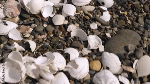 Broken seashells on the rocky shore in Koijigahama Beach in Tahara Japan as seen from the top view of the shore photo