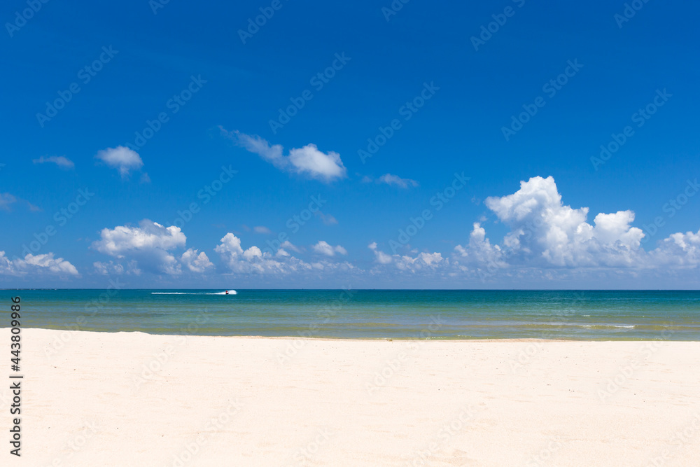 tropical beach in Sri Lanka . Summer holiday and vacation concept for tourism. tropical beach in Sri Lanka . Summer holiday and vacation concept for tourism.