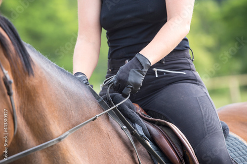 Girl in a riding gear, bridle, gloves, saddle, black suit