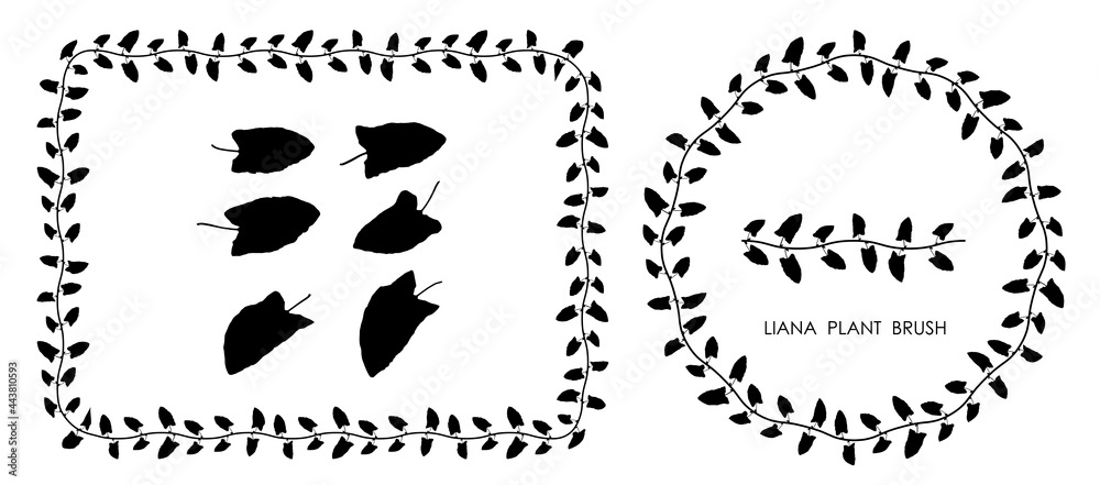 Obraz premium Black thin liana grass leaves silhouettes isolated on white. Climbing thin plant brush. Decorative frames. Autumn fallen field grass leaves. Stencil vector