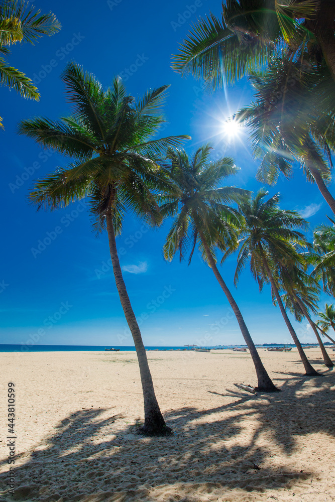 tropical beach in Sri Lanka . Summer holiday and vacation concept for tourism. tropical beach in Sri Lanka . Summer holiday and vacation concept for tourism.