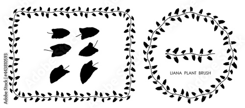 Black thin  liana grass leaves silhouettes isolated on white. Climbing thin plant brush. Decorative frames. Autumn fallen field grass leaves. Stencil vector
