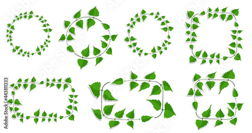 Decorative frames made of thin birch twigs and green leaves. Round, square and rectangular frames. Vector