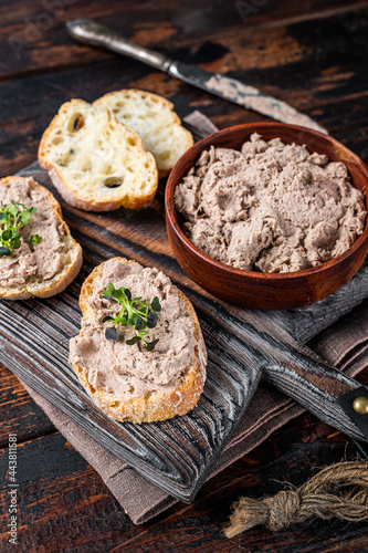 Toasts with Duck pate Rillettes de Canard on wooden board. Dark wooden background. Top View photo