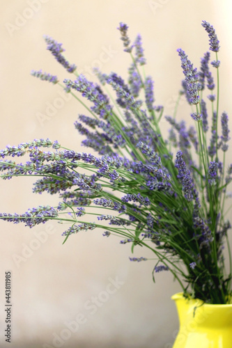 Fototapeta Naklejka Na Ścianę i Meble -  Yellow vase with fresh lavender flowers. Selective focus.