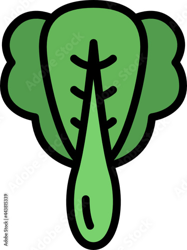 bok choy color outline icon