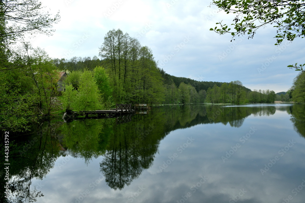 A view of a vast and shallow lake or river with a dense forest or moor reflecting in it surface seen from one coast of the reservoir on a cloudy yet warm summer day on a Polish countryside