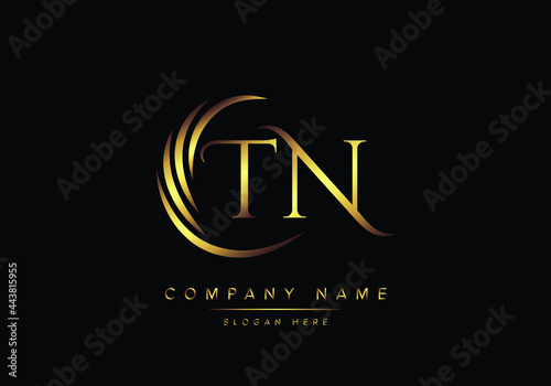alphabet letters TN monogram logo, gold color elegant classical photo