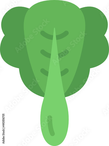 bok choy flat icon