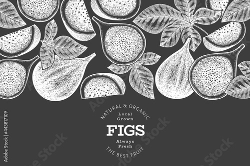 Hand drawn fig fruits design template. Organic fresh food vector illustration on chalk board. Retro fig fruit banner.