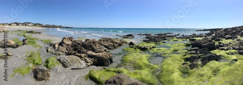 les algues vertes le long de la plage tahiti de raguenez en Finistère Bretagne France 