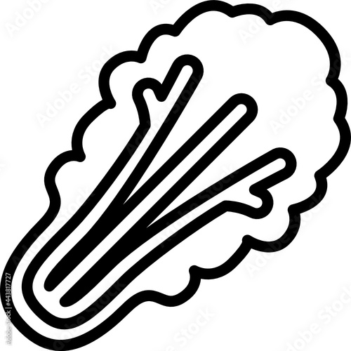 lettuce outline icon