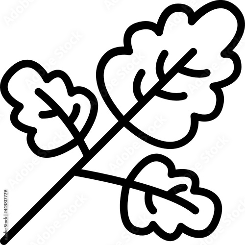 parsley outline icon