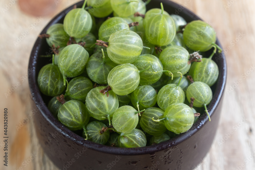 Fresh gooseberries in clay pot. Traditional clay pot cooking. Gooseberry pickle making.green gooseberry and apple on a wooden surface Fresh gooseberries in clay pot. Traditional clay pot cooking. Gooseberry pickle making.green gooseberry and apple on a wooden surface