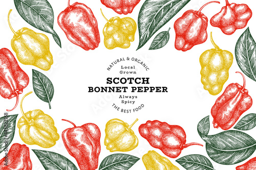 Hand drawn sketch style scotch bonnet pepper banner. Organic fresh vegetable vector illustration. Retro cayenne pepper design template photo