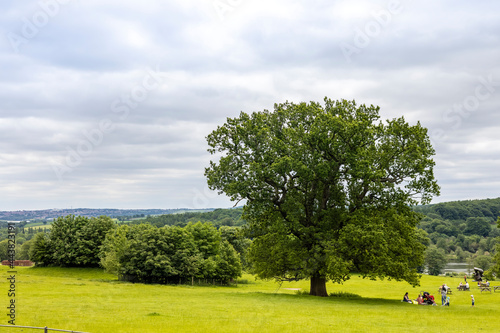 Rural landscape of Yorkshire Sculpture Park near Wakefield, England.