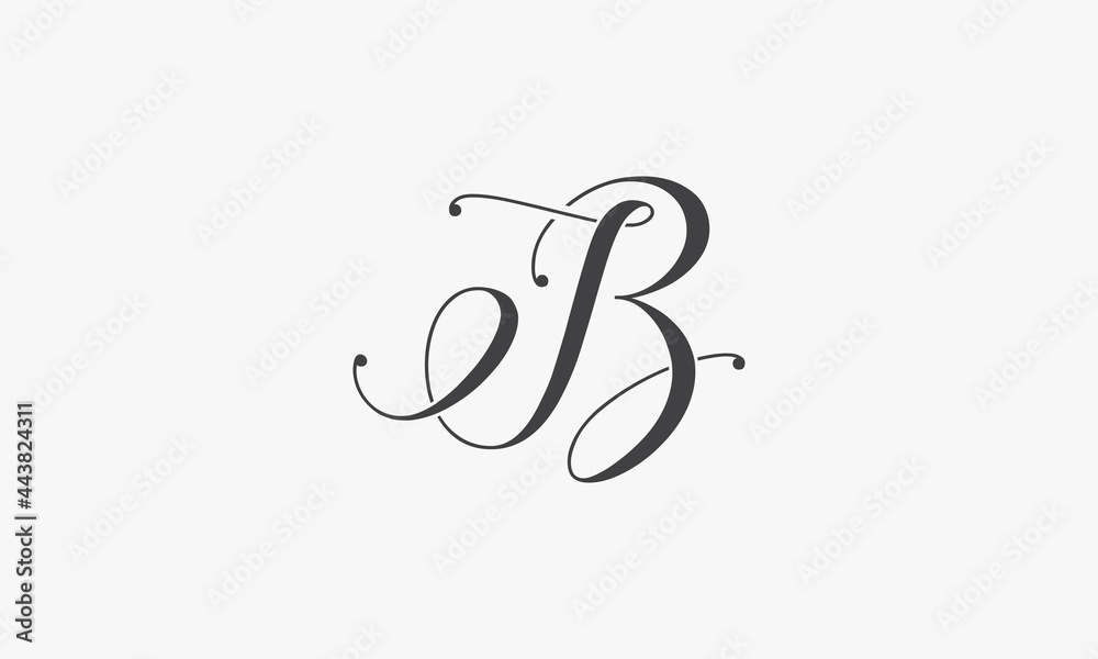 B or IB logo design on white background.